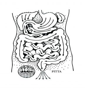 Virechana (Purgation Therapy)